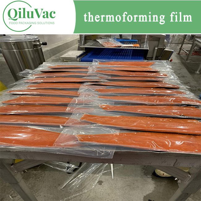 Ntses Ntim Zaj duab xis